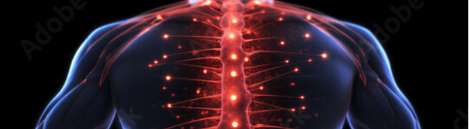 Back injuries