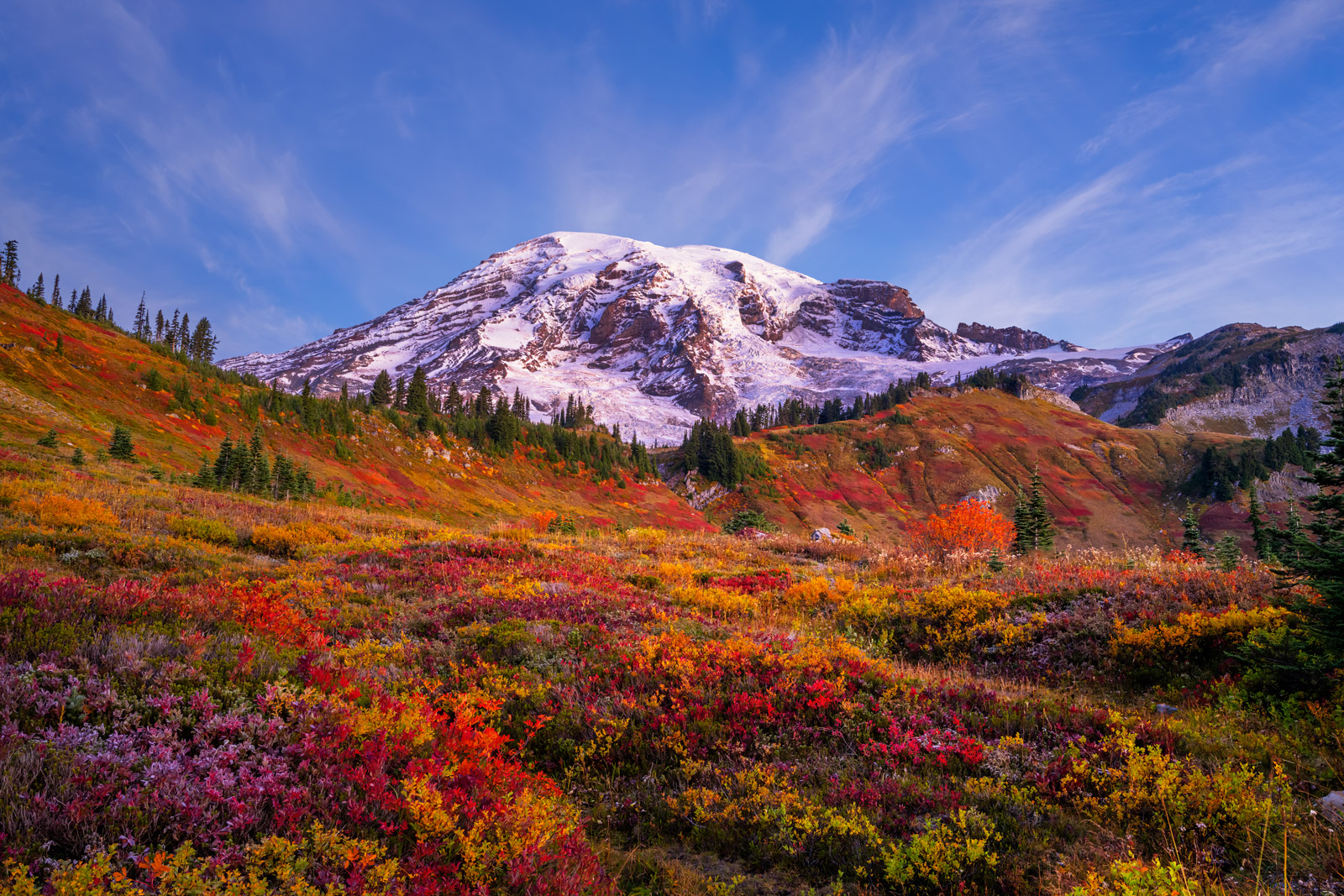 Mount Rainier