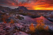 Washington Landscape