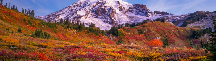 Mount Rainier