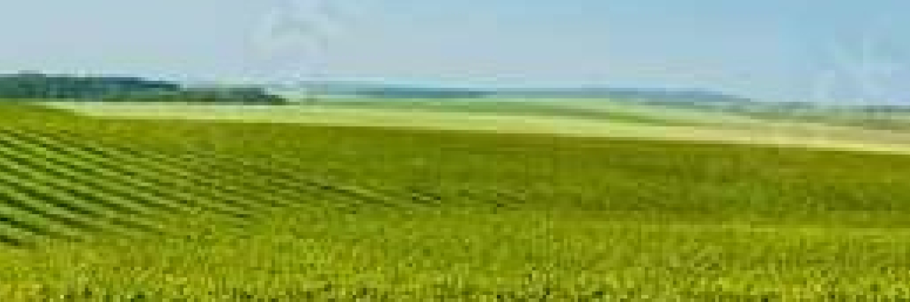 Agriculture